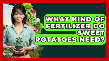What Kind Of Fertilizer Do Sweet Potatoes Need? - The World of Agriculture