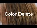 How To Remove Permanent Haircolor In a Single Step | Color Delete