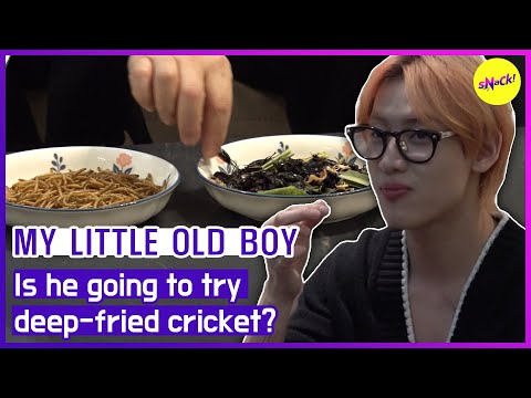 [MY LITTLE OLD BOY] Is he going to try deep-fried cricket? (ENGSUB)