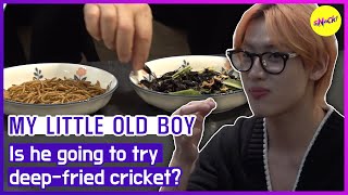 [MY LITTLE OLD BOY] Is he going to try deep-fried cricket? (ENGSUB) screenshot 5