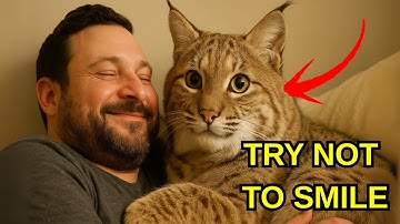 this goofy bobcat thinks she’s a baby—TRY NOT TO SMILE at her adorable antics