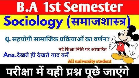 Description of cooperative social processes // BA 1st semester Sociology | important question