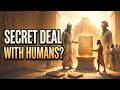 History For Sleep | Why Did the Anunnaki Try to Erase the Igigi’s Deal With Humanity?