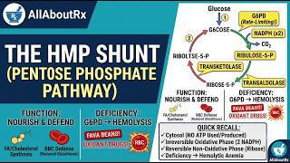 HMP SHUNT_PENTOSE PHOSPHATE PATHWAY_PHARM.D_AllAboutRx