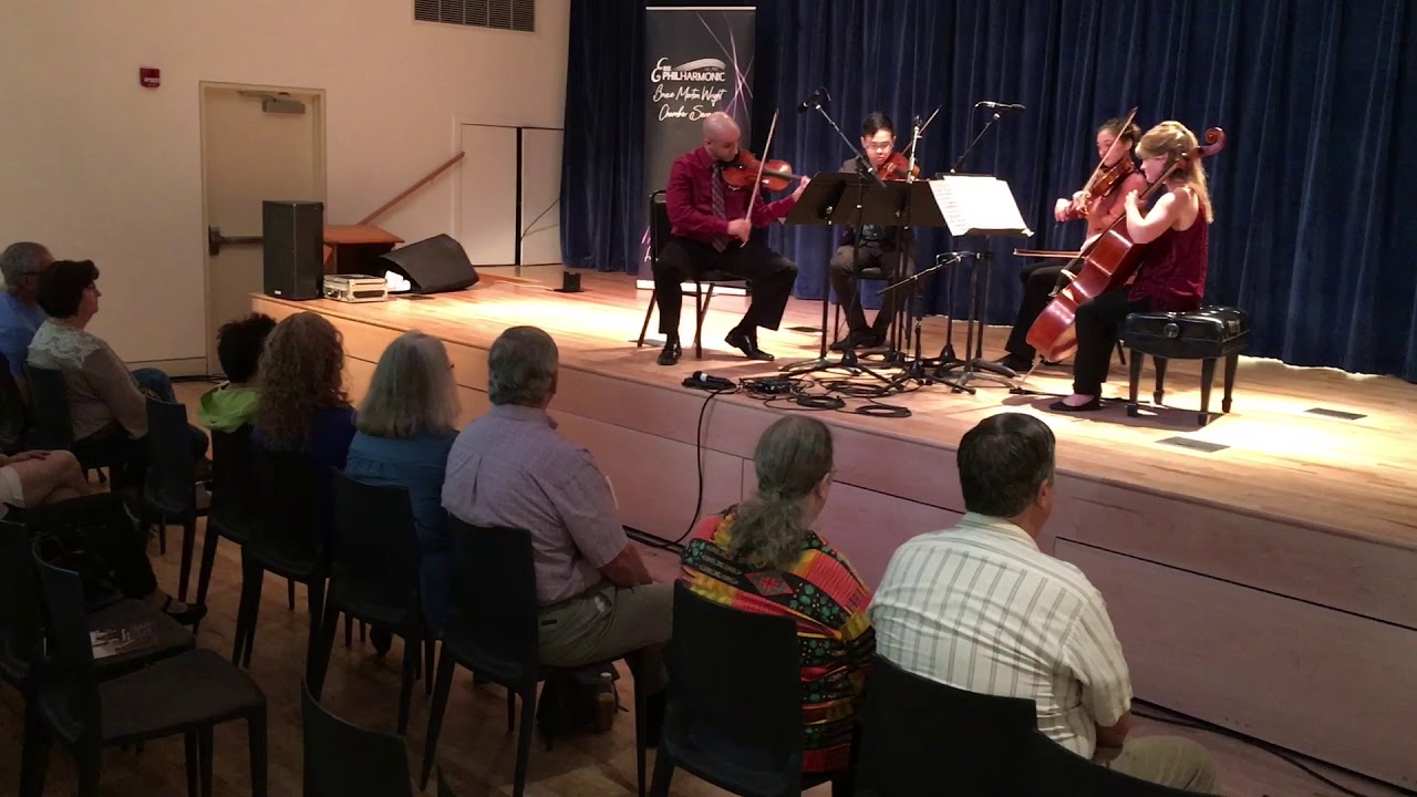 Erie Philharmonic String Quartet performs at Erie Art Museum's Mid Day Art Break