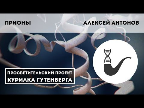 Новые инфекции. Прионы - что это такое? – Алексей Антонов