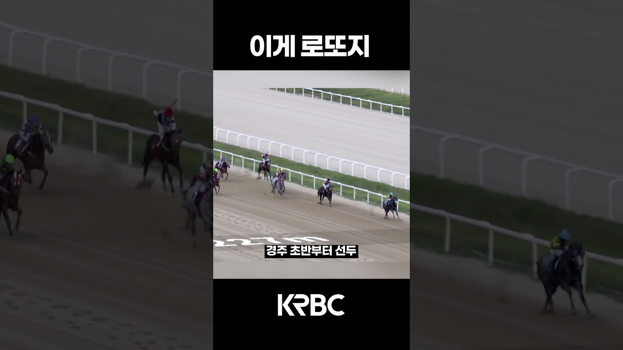 맞췄으면 풍요로운 추석 #shorts #경마방송 #기수 #경주마 #경마 #KoreaHorseRacing