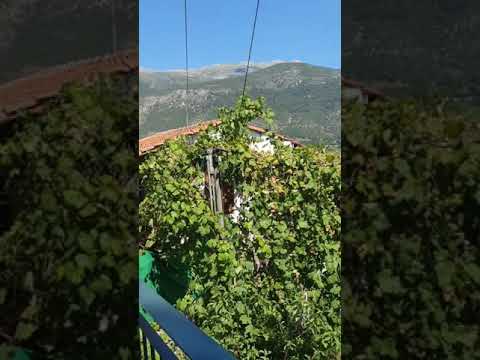 Сталактиты и стлагмиты.