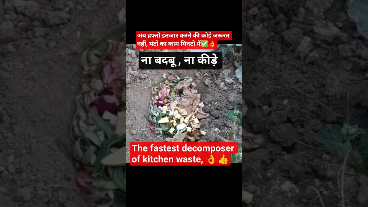 selfcomposting method#composting#gardening#garden#gardenplants#plantation#trending#viralshots#plants