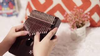 Enya Ek17 Kalimba Mbira Cover By Music Mart Nepal