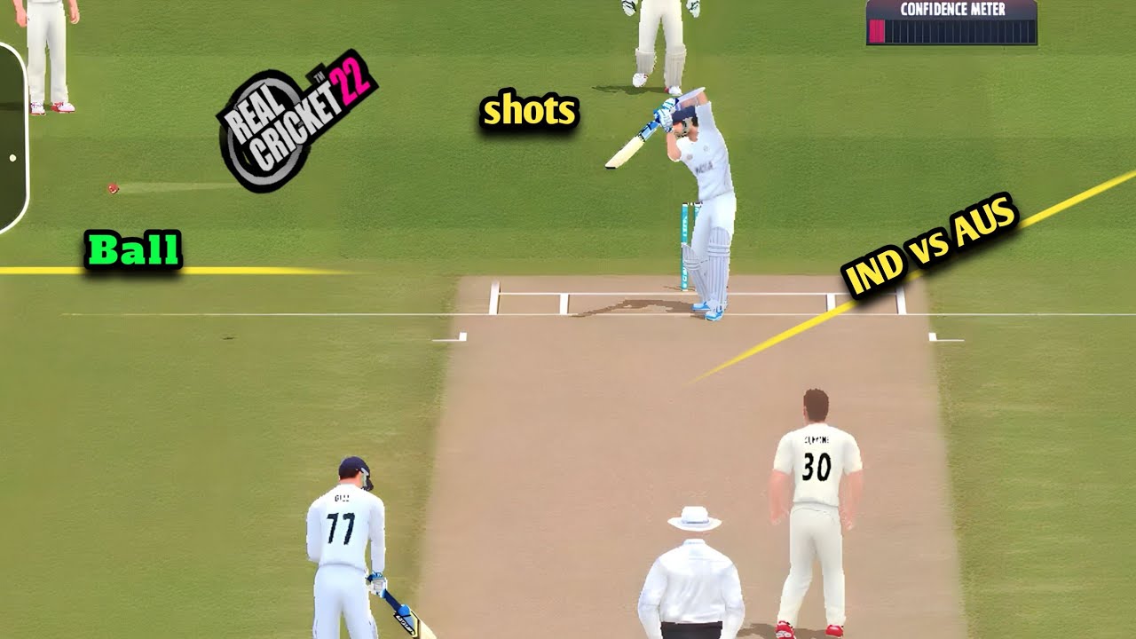 IND vs AUS Realistic test batting Real Cricket 22 YouTube