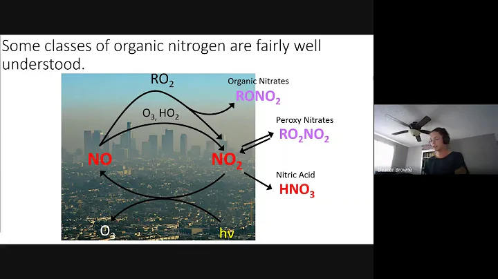 Eleanor Browne: Chemistry of organic reduced nitro...