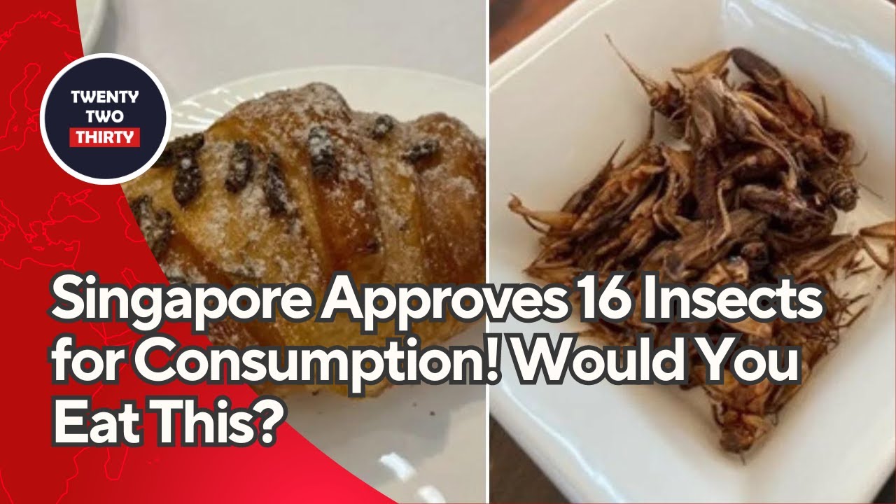 Singapore Approves 16 Insects for Consumption! Would You Eat This?
