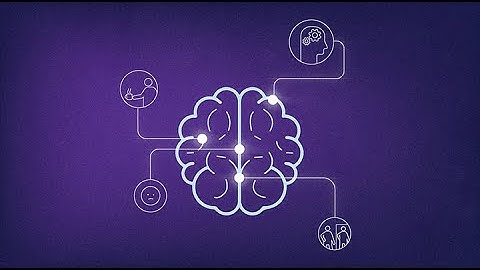 Neuroethics Explained - BrainMind