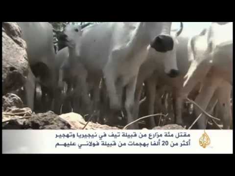 مقتل مائة مزارع من قبيلة تيف في نيجيريا