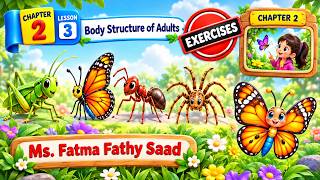 Details Primary 4 - Science - Chapter 2 - Lesson 3 - Exercises Guide
