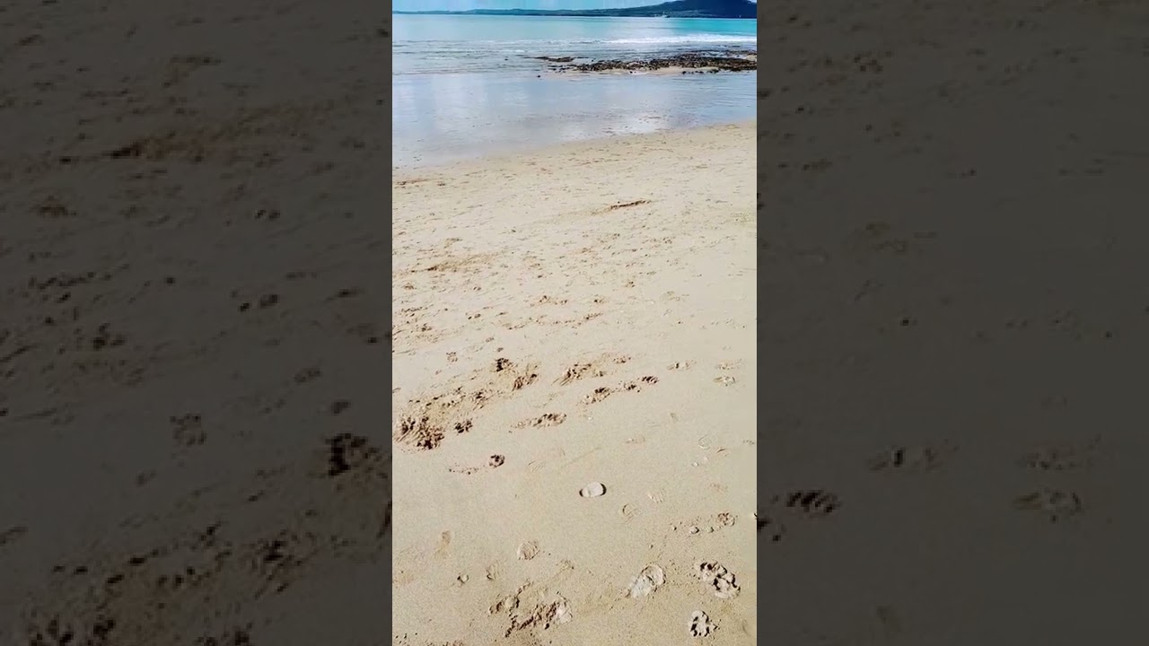 Waitemata Harbour, Auckland, New Zealand