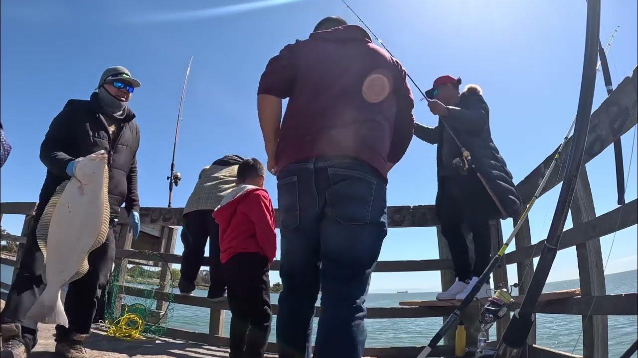 Fishing halibut at bay area YouTube