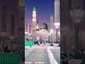 New Tranding Naat Sharaif #shortfeed #madinekibaatein #madina #foryou