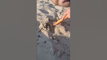 Metal detector ⛱ Beach find ⛱