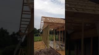 IMG 1263