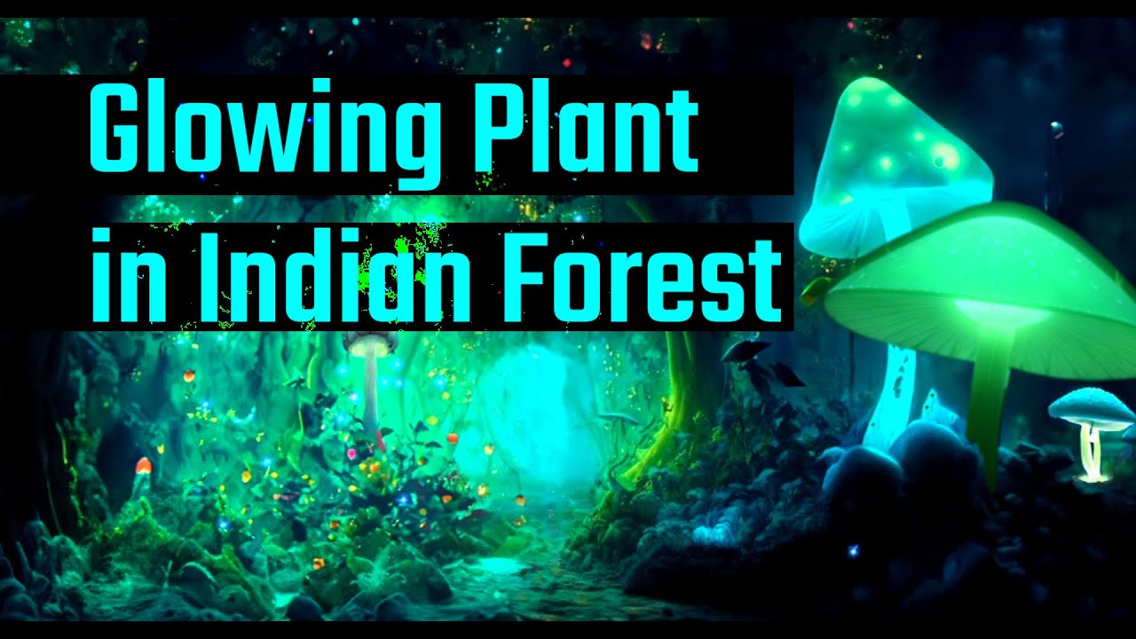 Glowing Plant in Indian Forest | Glowing Plant | Healthy Bharat with Nature | Nature