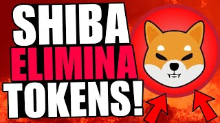 SHIBA INU ELIMINA +10 MIL MILLONES DE TOKENS EN SOLO 30 DÍAS | ASÍ HA EMPEZADO SHIBA INU EL 2024