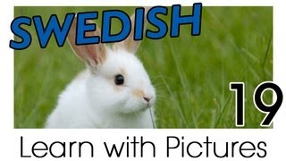 Learn Swedish Vocabulary with Pictures - Farm Animals