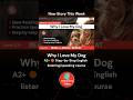 A1/A2 🟢 Step-by-Step English: Listening & Speaking –Why I Love My Dog