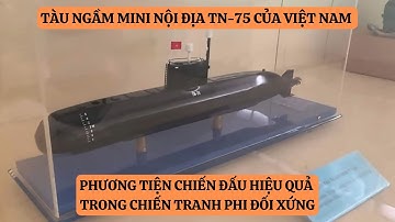 Tàu Ngầm Mini Do Việt Nam Chế Tạo, Phương Tiện Chiến Đấu Hiệu Quả Trong Chiến Tranh Phi Đối Xứng