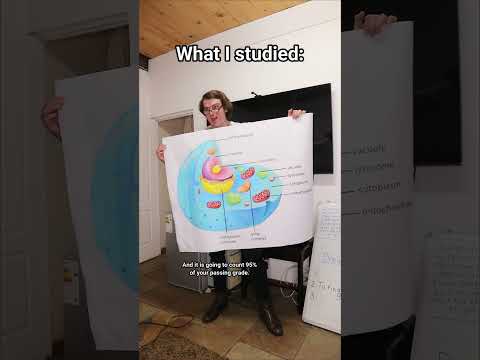 Studied But Didn T Study For The Exam 