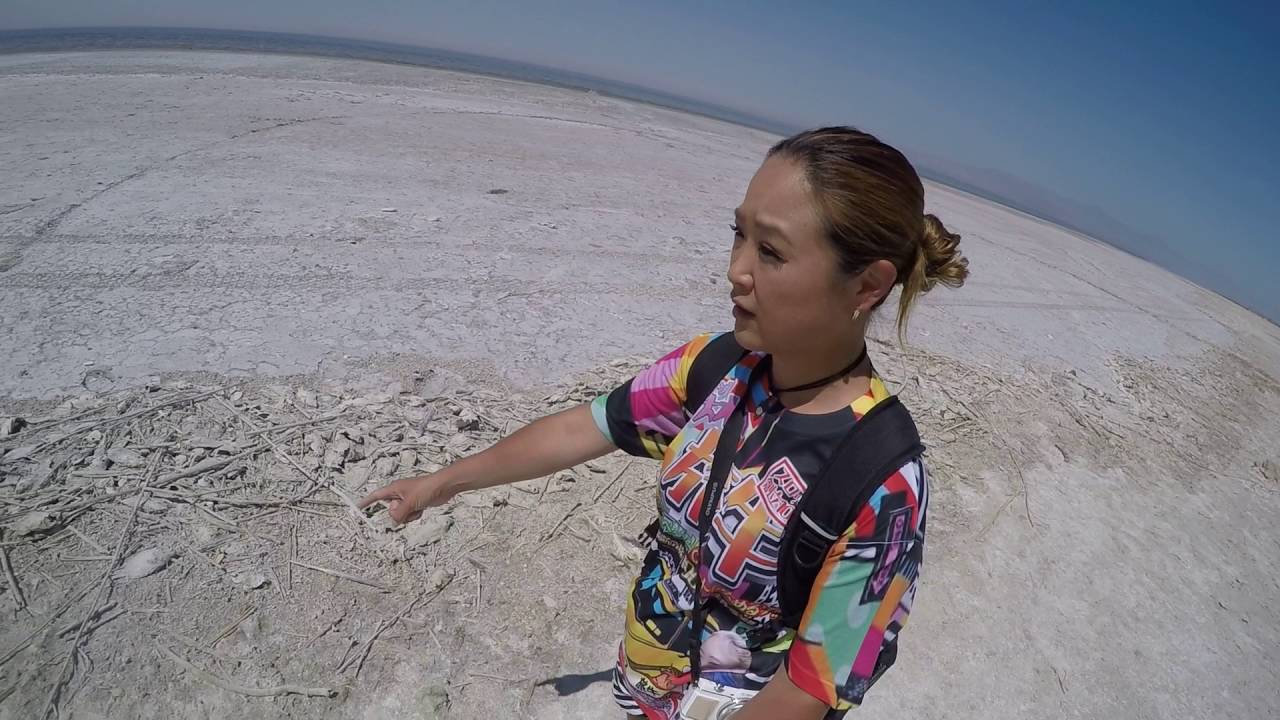 77限目 環境汚染で魚が住めない ソルトン湖 悪臭漂う劣悪な環境で感じた事 Mikaのアメリカ横断一人旅 47都道府県制覇の旅