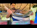 Excellent fishermans best village fish cutting skills and traditional fish market in sri lanka