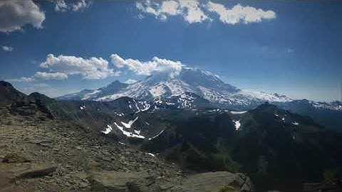 onebahS0 - modular jungle