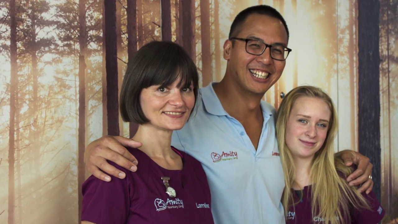 Practice Profile: Amity Veterinary Centre
