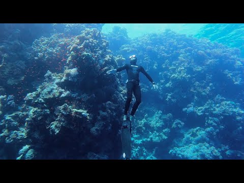 Freedive Dahab | Egypt | 2022