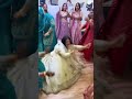 ਜਾਗੋ ਦੀਆਂ ਰੌਣਕਾਂ#punjabiculture #trending #jaggo #shorts #punjabiwedding #boliyan
