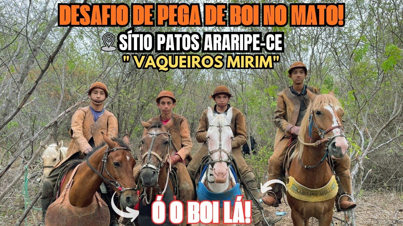 DESAFIO DE PEGA DE BOI NO MATO AOS VAQUEIROS MIRIM, FOI CORDA? (SÍTIO PATOS ARARIPE-CE)