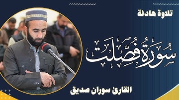 سورة فصلت كاملة surah fussilat full القارئ سوران صديق