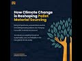 How Climate Change is Reshaping Pallet Material Sourcing