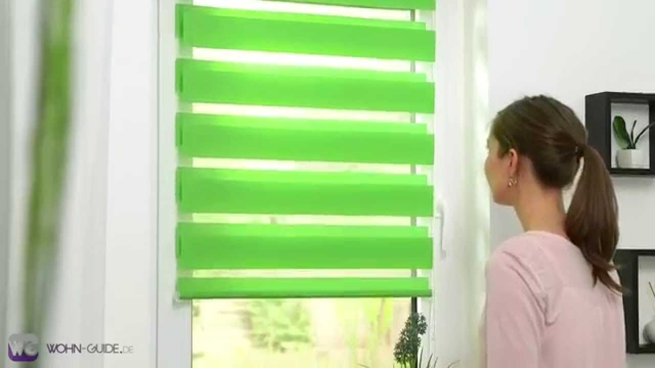 Windhager Insektenschutz-Klemm-Rollo Aluprofi für Fenster