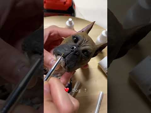 Pet #art #artwork