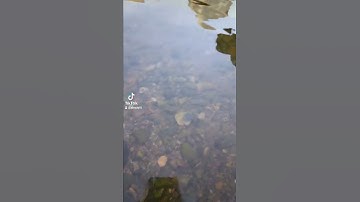 ان ربكم الله الذي خلق السماوات والأرض القارئ ماهر المعيقلي