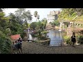 Funchal City Tour - Monte Tropical Garden