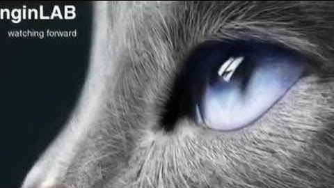 Fatigue test on bike fork with pneumatic actuator