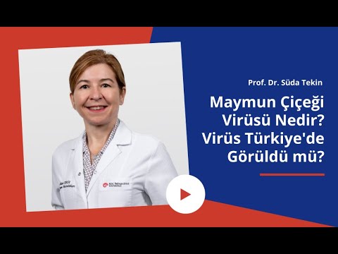 Maymun Çiçeği Virüsü Nedir? Türkiye’de Görüldü mü? Nasıl Korunmalıyız? | Prof. Dr. Süda Tekin