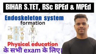 Endoskeleton system formation//Bihar STET//BPEd, BSc & MPEd//Physical education Sports