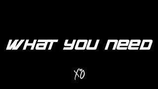 The Weeknd - What You Need ( Lyrics Video )