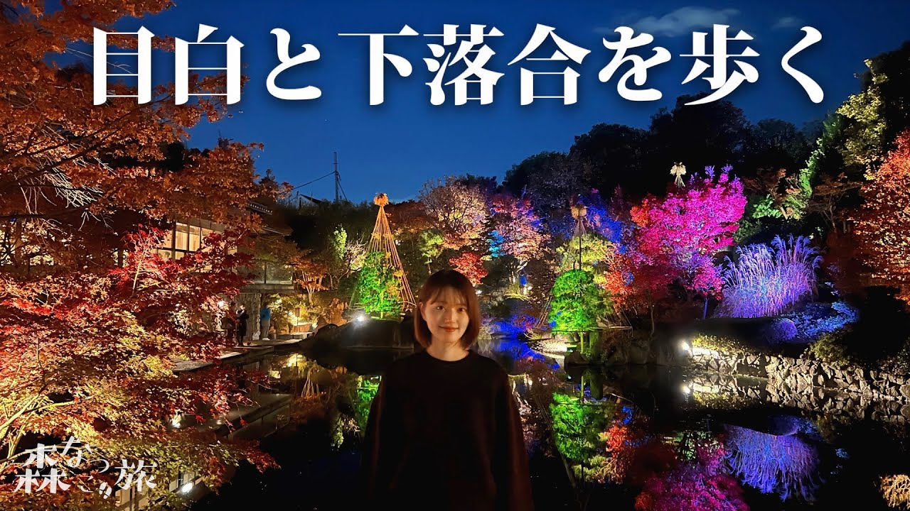 【目白/下落合】文教の街を歩く｜庭園ライトアップと歴史めぐり