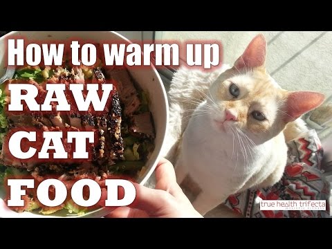 how-to-warm-up-or-heat-raw-cat-food-–-raw-cat-food-recipe-/-raw-diet-for-cats-/-homemade-cat-food